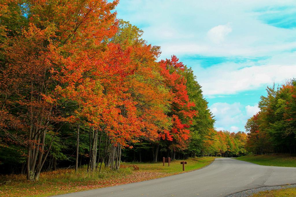 Canaan Valley Resort State Park Davis Exterior foto
