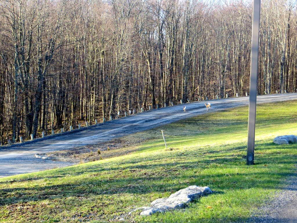 Canaan Valley Resort State Park Davis Exterior foto